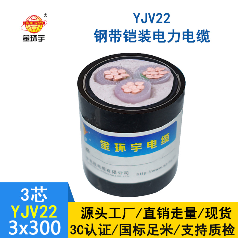 金环宇 国标YJV22 3*300平方