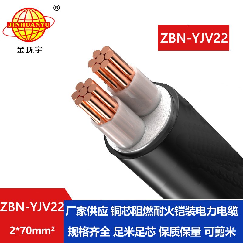 金环宇电线电缆 yjv22电缆ZBN-YJV22-2X70平方 B级阻燃耐火铠装电缆