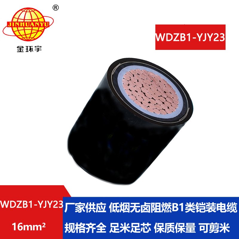 金环宇电线电缆 电力电缆WDZB1-YJY23-16平方b1级阻燃