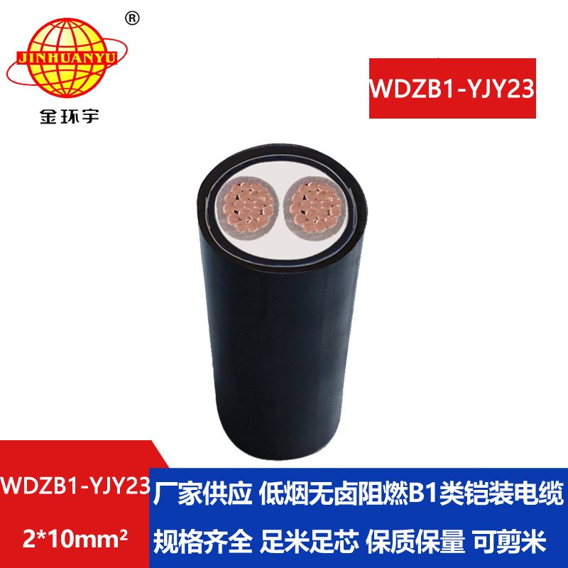 金环宇 铠装电缆WDZB1-YJY23-2X10平方 B1级阻燃低烟无
