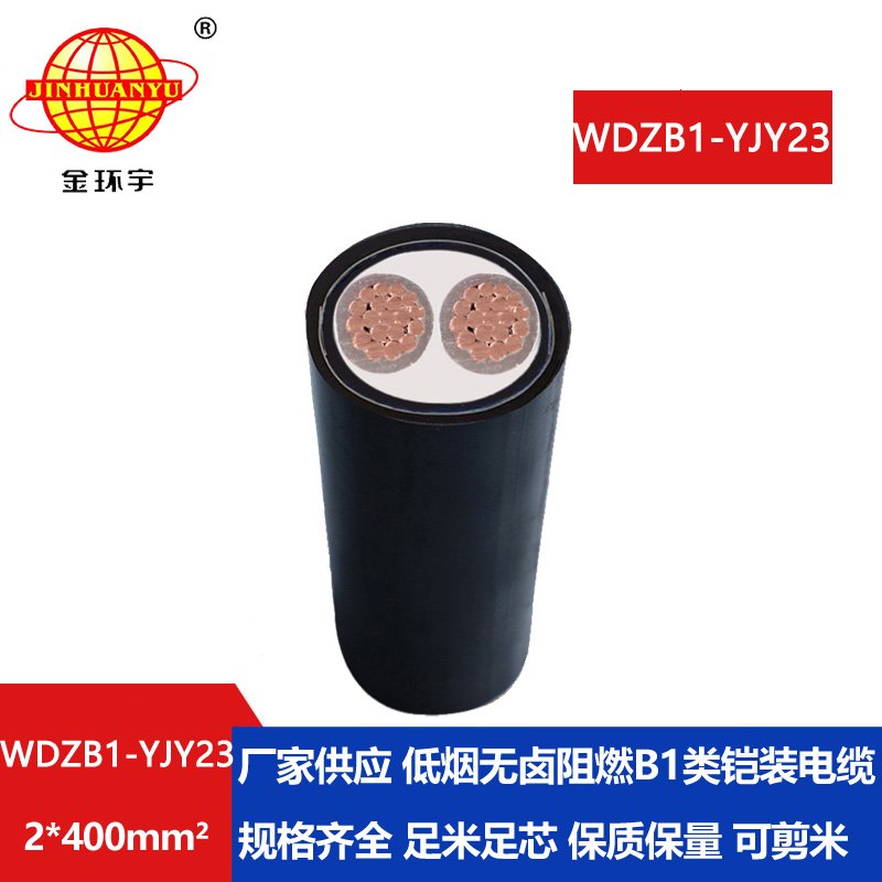 金环宇 低烟无卤铜芯电缆WDZB1-YJY23-2X400平方 b1类