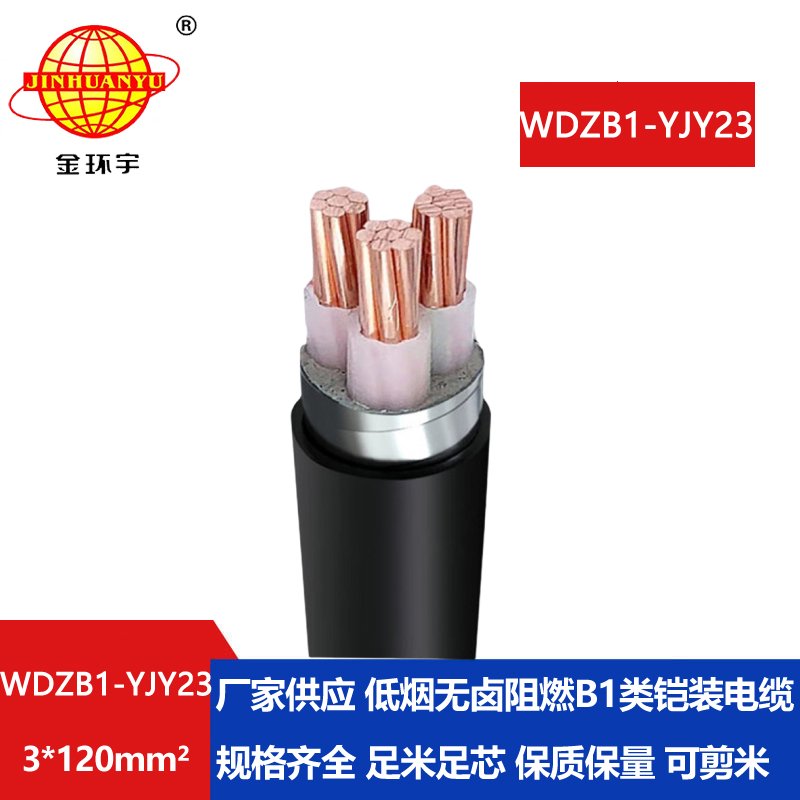 金环宇 低烟无卤阻燃电缆 WDZB1-YJY23-3X120平方 3芯