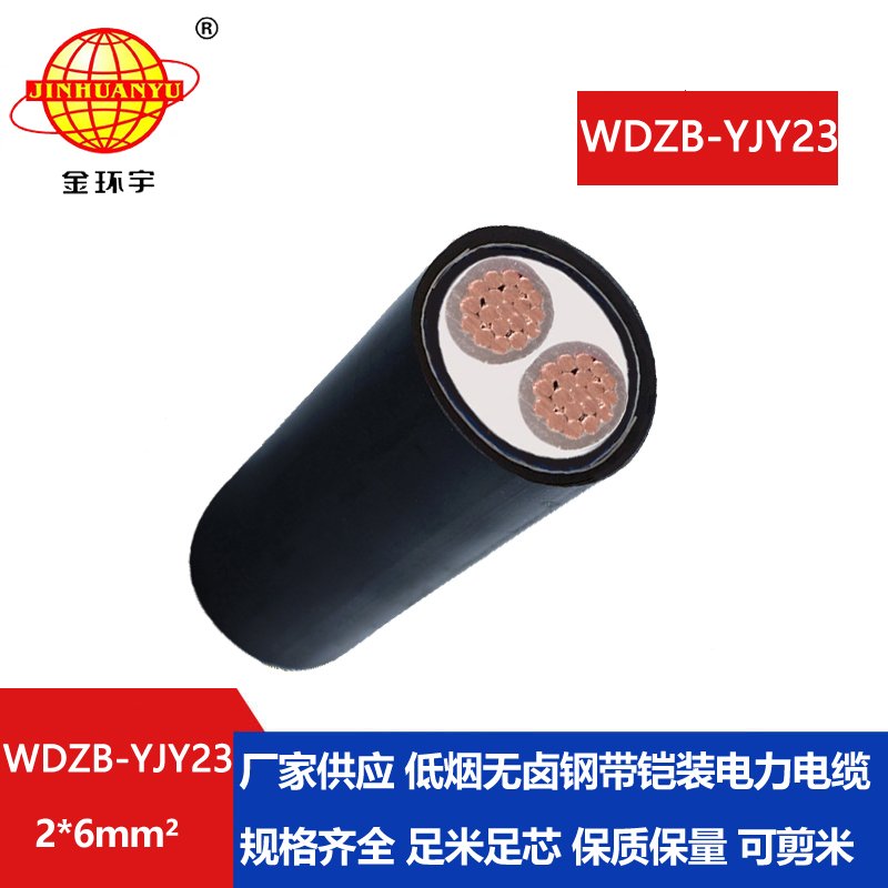 金环宇电缆 WDZB-YJY23-2X6平方 低烟无卤阻燃b类电力