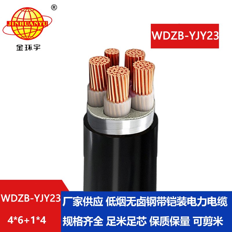 金环宇电线电缆 b级阻燃电力电缆WDZB-YJY23-4X6+1X