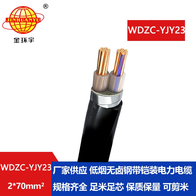 金环宇电缆 阻燃电缆报价WDZC-YJY23-2X70铜芯无卤低